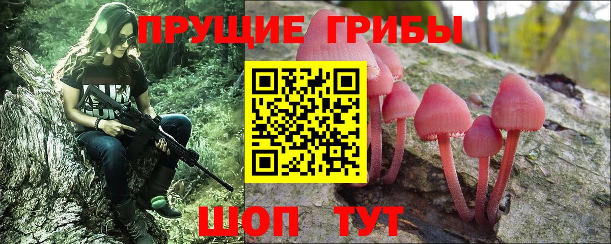 Галлюциногенные грибы Magic Shrooms  Вход с VPN  Гай  Галлюциногенные грибы мухоморы 